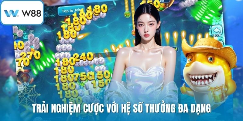 Trải nghiệm cược với hệ số thưởng đa dạng